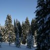 20050226_Oberegg_183